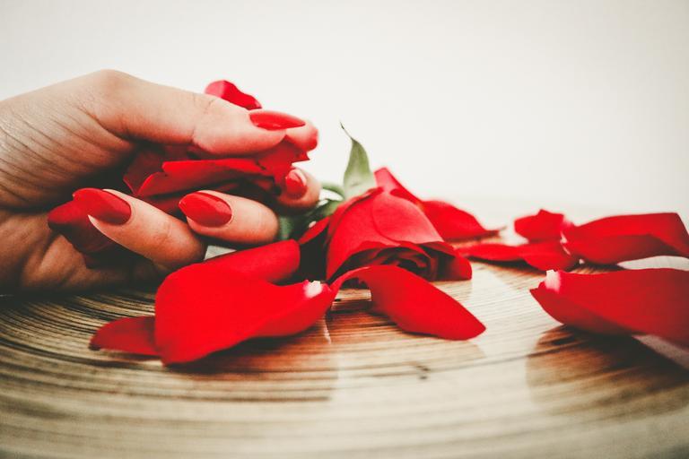 Dlhé, červené nechty a lupene ruží
